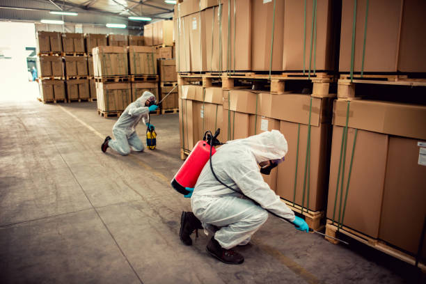 Best Ant Control Services  in Fircrest, WA