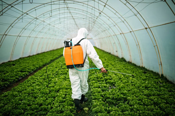 Best Cockroach Control Services  in Fircrest, WA