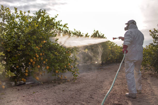 Pest Control for Restaurants in Fircrest, WA