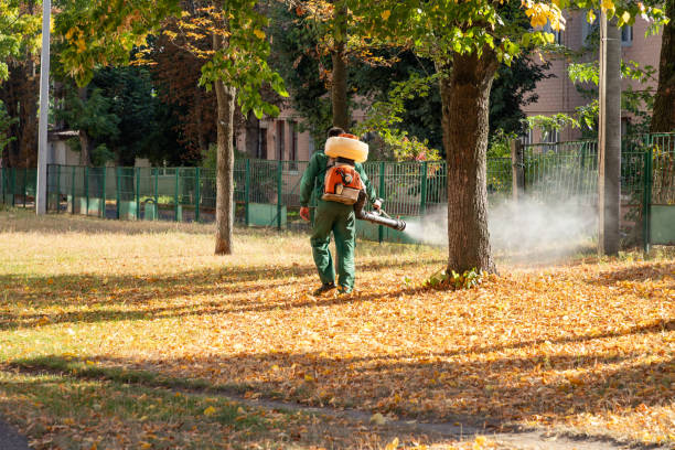 Best Insect Control  in Fircrest, WA