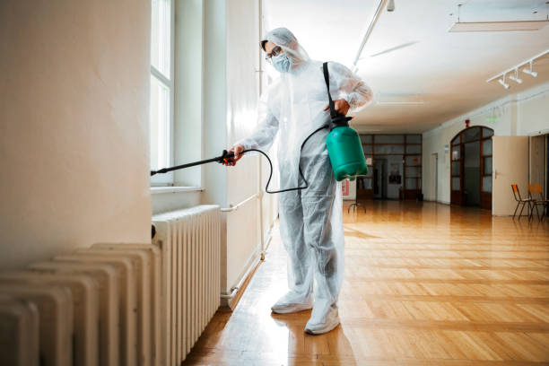 Best Termite Control Services  in Fircrest, WA